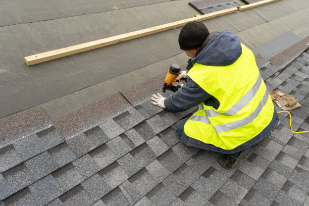 Best Roof Gutter Cleaning  in Ozk, AR