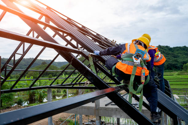 Best Roof Replacement Cost  in Ozk, AR