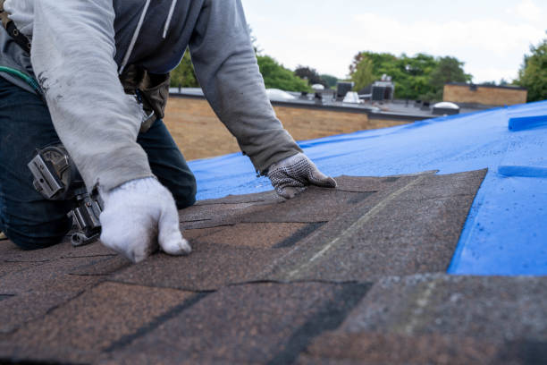 Best Residential Roofing Contractor  in Ozk, AR