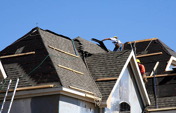 Best Storm Damage Roof Repair  in Ozk, AR
