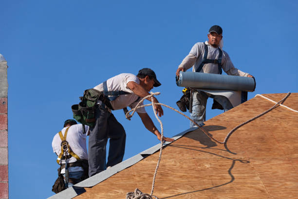 Professional Roofing Contractor in Ozark, AR