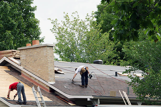 Best Shingle Roofing Installation  in Ozk, AR