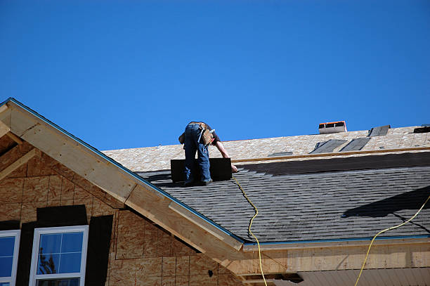 Best Roof Gutter Cleaning  in Ozk, AR