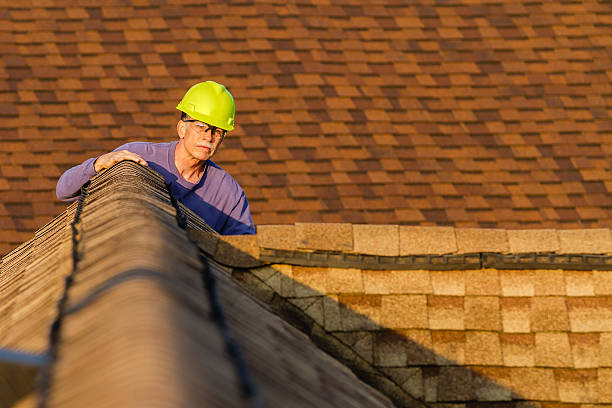 Best Roof Restoration Services  in Ozk, AR