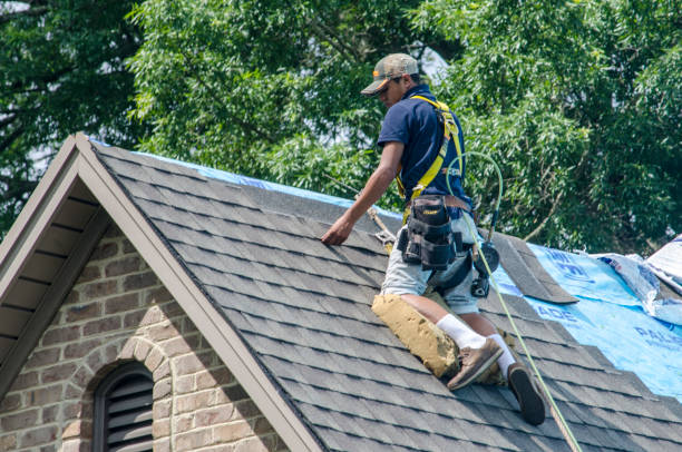 Best Residential Roofing Contractor  in Ozk, AR